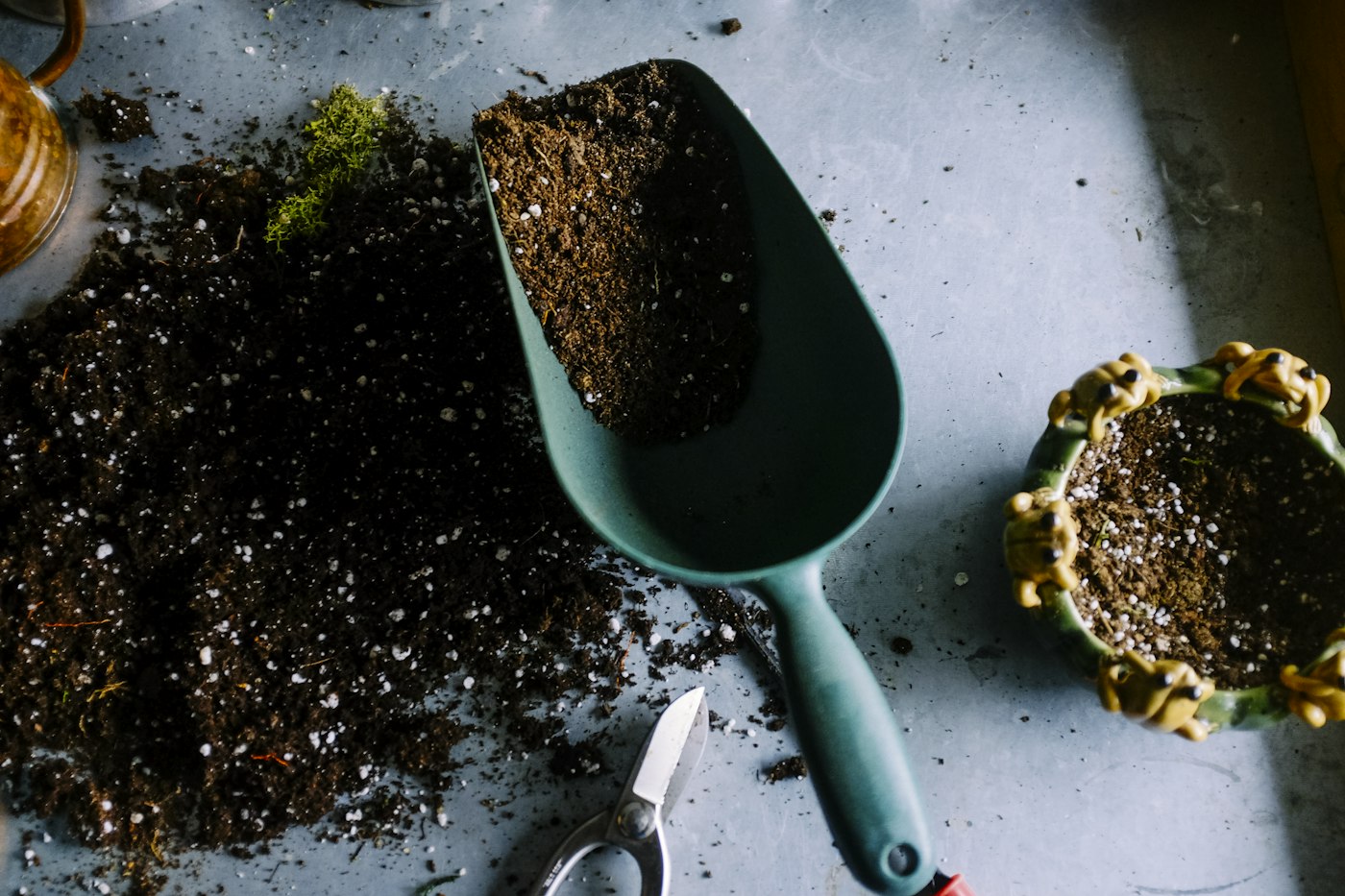 Illustrative garden photography